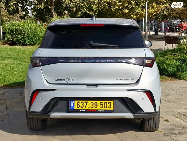 בי.ווי.די דולפין