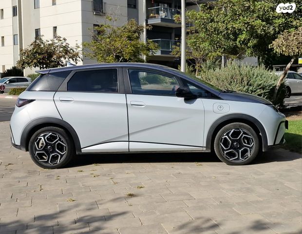 בי.ווי.די דולפין