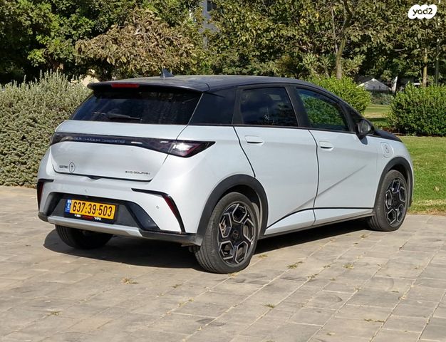 בי.ווי.די דולפין