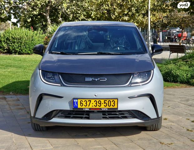 בי.ווי.די דולפין