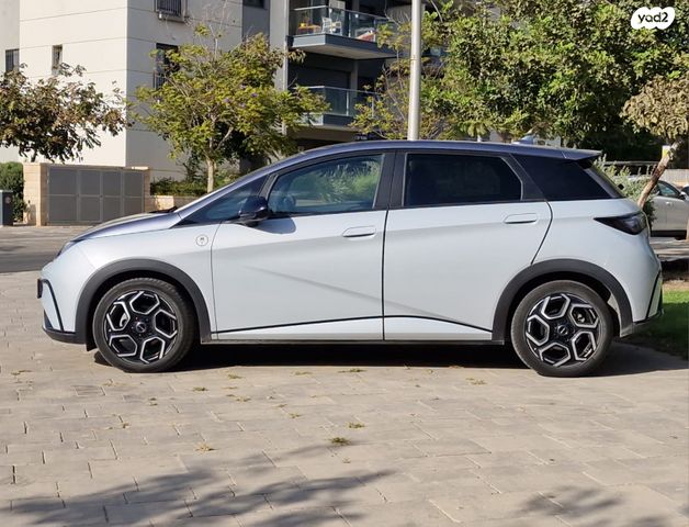 בי.ווי.די דולפין