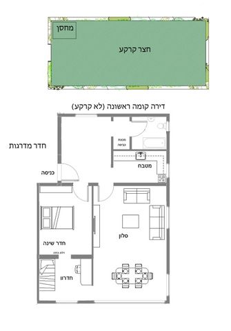 הכינור 7