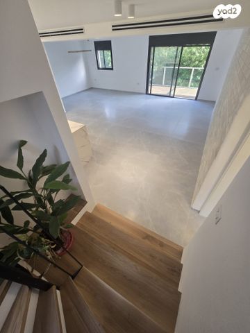 גג/ פנטהאוז, טשרניחובסקי 26, כרמל צרפתי, חיפה