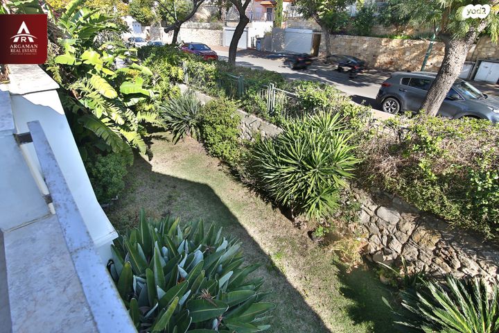 וינסנט ון גוך 