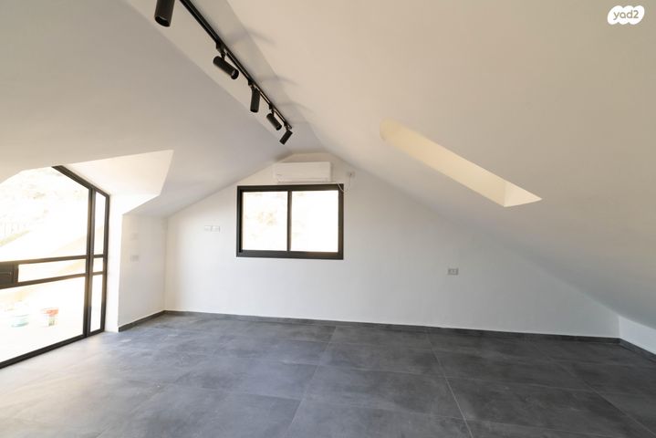 טריפלקס, הוד הכרמל, דניה, חיפה