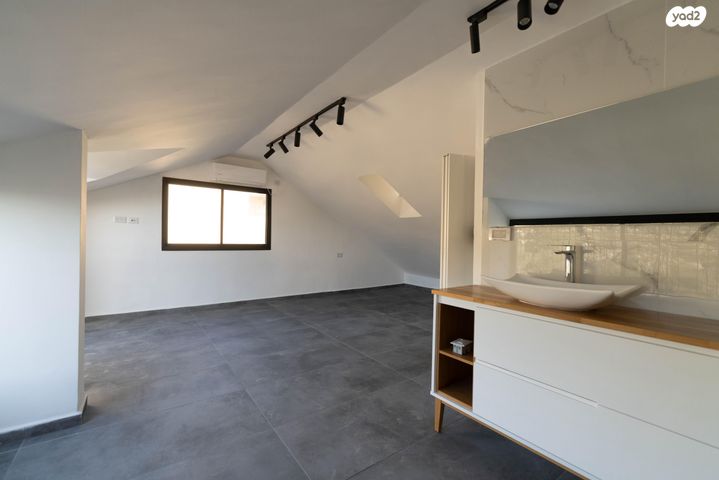 טריפלקס, הוד הכרמל, דניה, חיפה