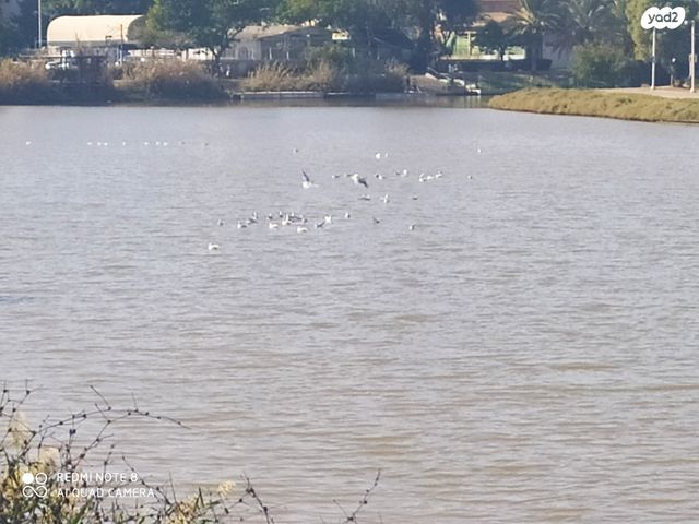 גג/ פנטהאוז, שדרות סמאטס, הצפון החדש - צפון, תל אביב יפו