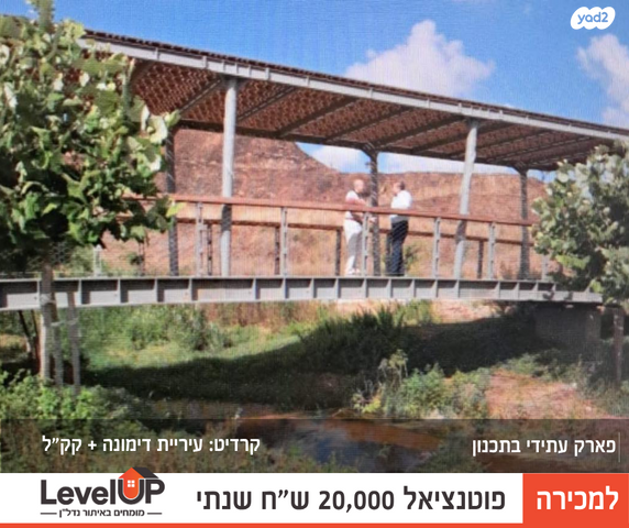 דירה, רחבת הסוכנות, הנצחון, דימונה