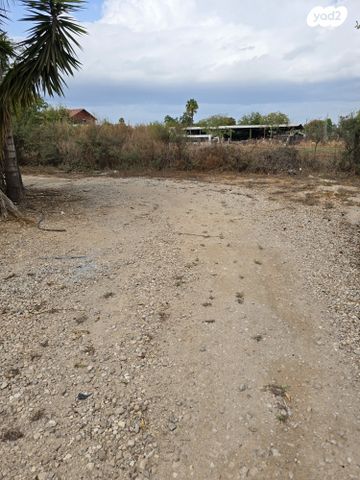 משרדים, חמד