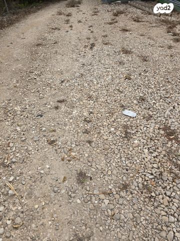 משרדים, חמד