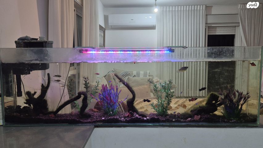 תמונת מודעה - חיות מחמד