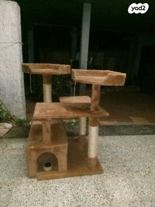 תמונת מודעה - חיות מחמד