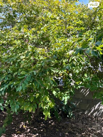 בית פרטי/ קוטג', חצור 10, הדר, כרמיאל