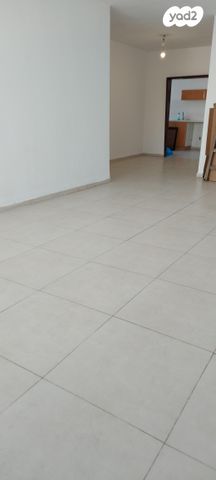 אריה שנקר 30