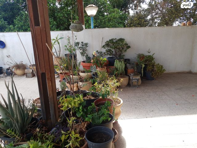 גג/ פנטהאוז, בן ציון דינור, הרצליה הירוקה, נווה עובד, הרצליה