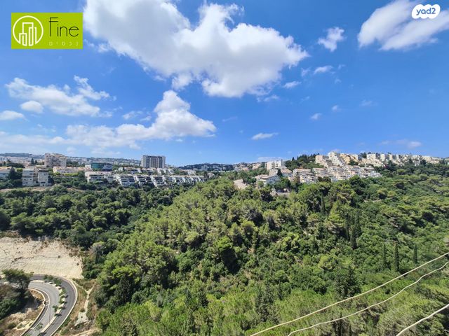 דירה, ליאון בלום 14, רמת הדר, חיפה