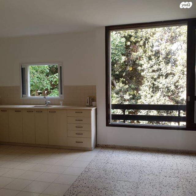 בן ציון דינור 