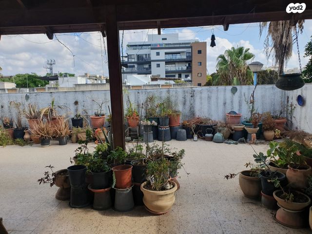 גג/ פנטהאוז, בן ציון דינור, הרצליה הירוקה, נווה עובד, הרצליה