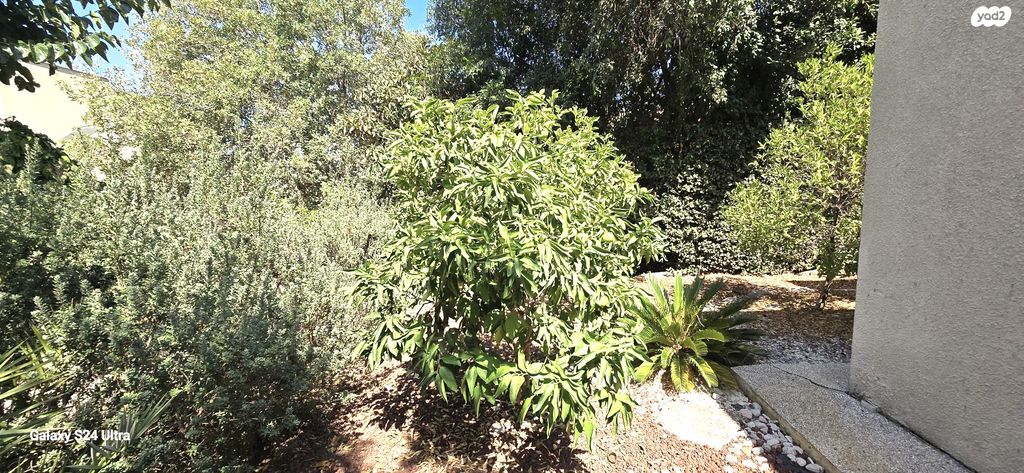 בית פרטי/ קוטג', שכניה