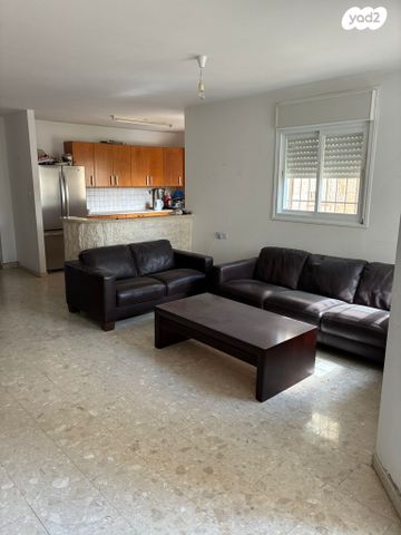 אריה דולצ'ין 