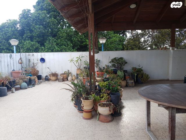 גג/ פנטהאוז, בן ציון דינור, הרצליה הירוקה, נווה עובד, הרצליה