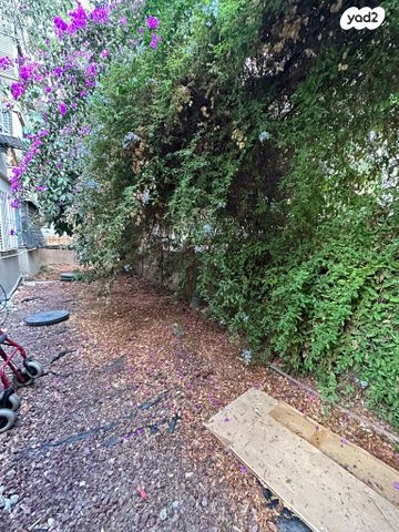 דירה, בן יהודה, הצפון הישן - צפון, תל אביב יפו