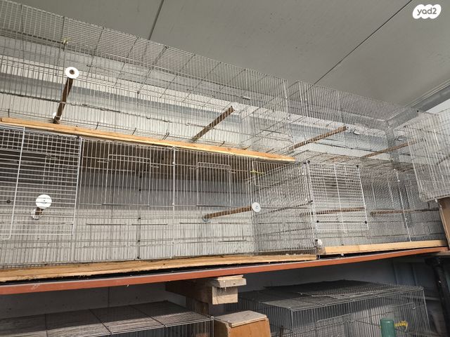 תמונת מודעה - חיות מחמד