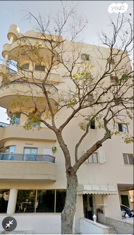 יוסף קארו 40