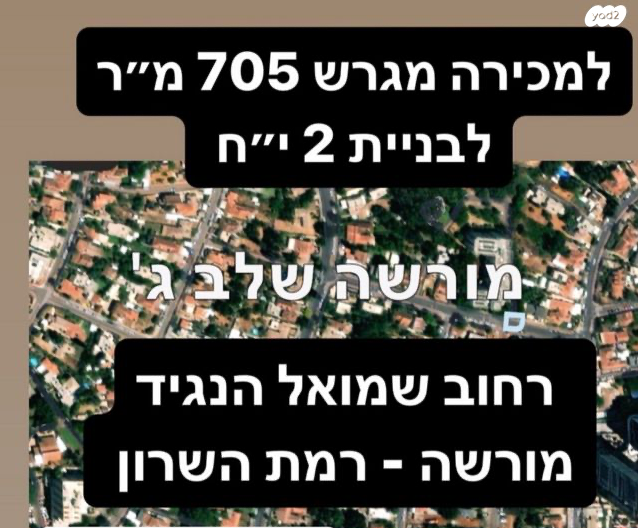 שמואל הנגיד 