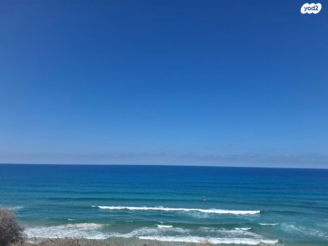 משק חקלאי/ נחלה