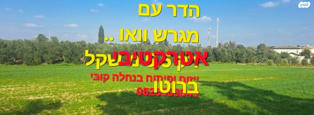 מגרשים, הדר עם