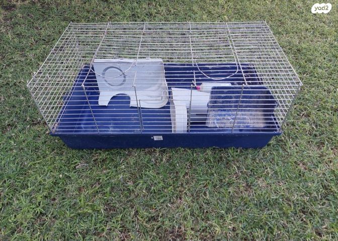 תמונת מודעה - חיות מחמד