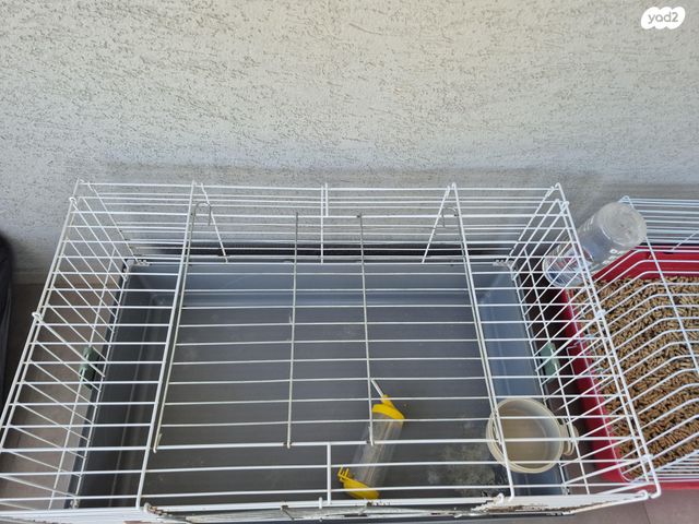 תמונת מודעה - חיות מחמד