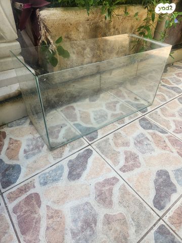 תמונת מודעה - חיות מחמד