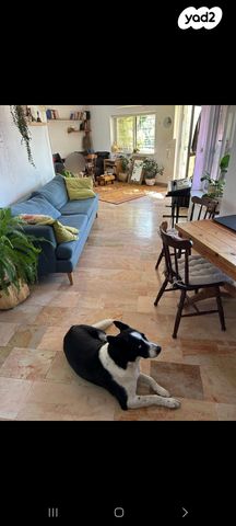 מבוא רימון 3