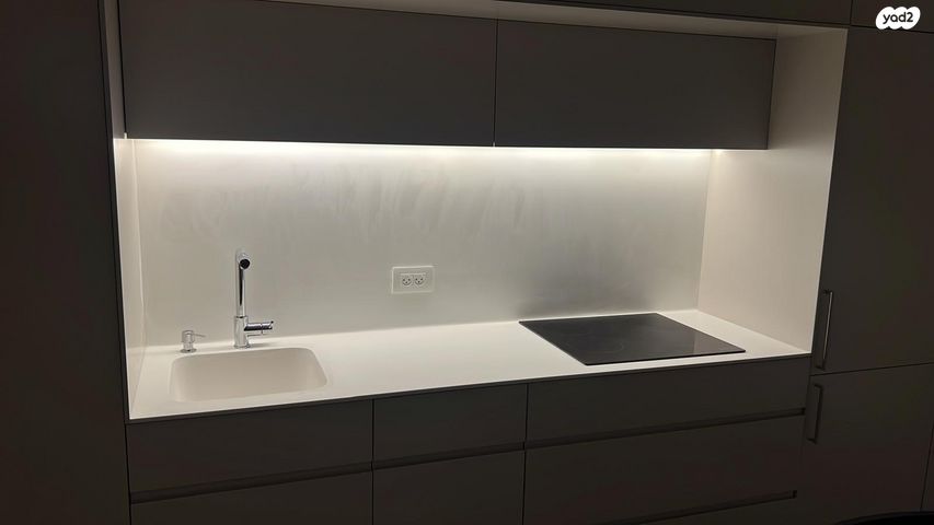 ליאונרדו דה וינצ'י 12