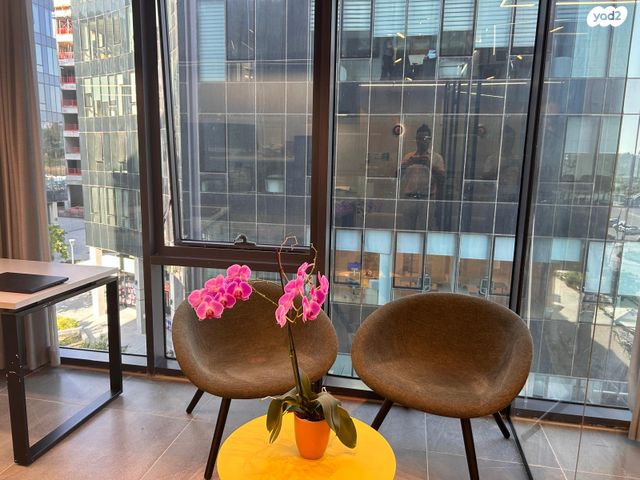 משרדים, פרופ' אברהם פצ'ורניק 5, שאר העיר, נס ציונה