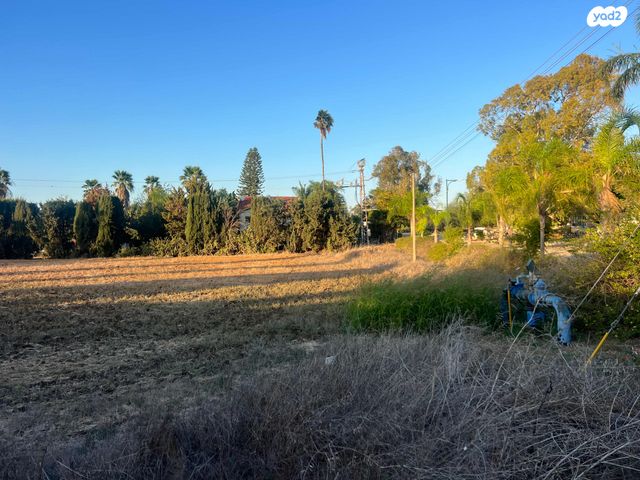 מגרשים, התמר, כפר אביב, כפר אביב