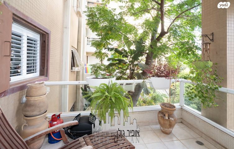 דירה, הרצליה