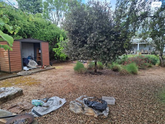 מגרשים, חניאל