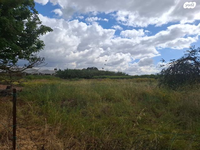 מגרשים, חניאל