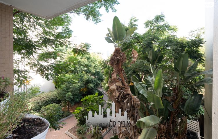 דירה, הרצליה