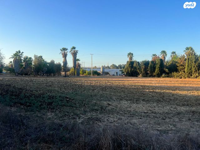 מגרשים, התמר, כפר אביב, כפר אביב