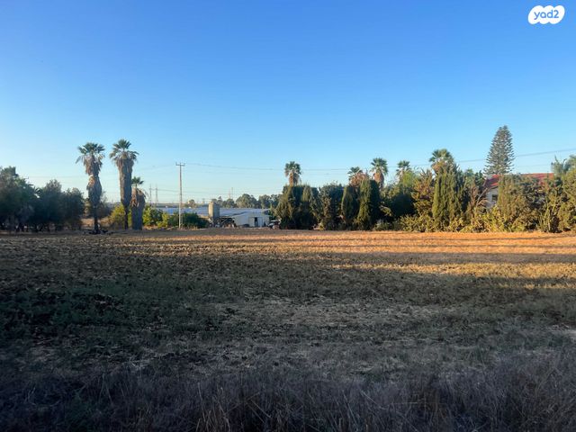 מגרשים, התמר, כפר אביב, כפר אביב