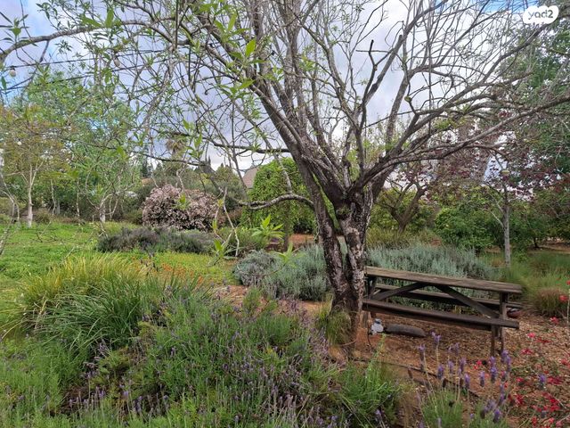 מגרשים, חניאל