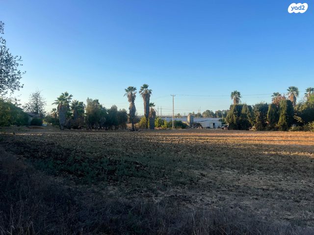 מגרשים, התמר, כפר אביב, כפר אביב