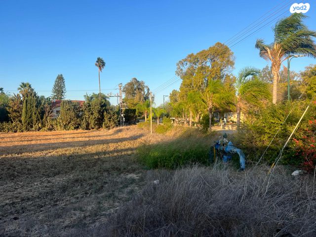 מגרשים, התמר, כפר אביב, כפר אביב