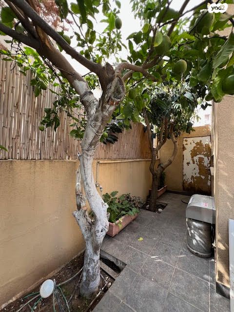 בית פרטי/ קוטג', קרית הסביונים, יהוד מונוסון