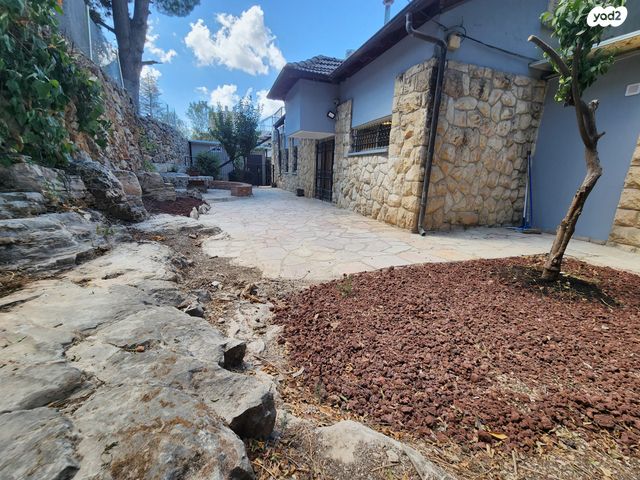 המתנחלים בהר 