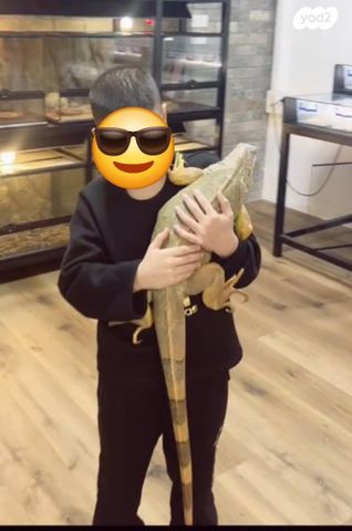 תמונת מודעה - חיות מחמד